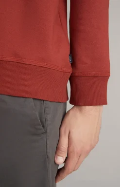 Hoodie Samuel in Rost