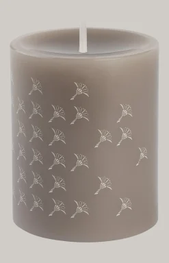 JOOP! FADED CORNFLOWER Stumpenkerze in Kiesel - 2er Set, 10 cm Höhe