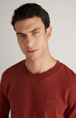 Sweatshirt Salazar in Rost